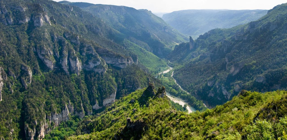 Les gorges du Tarn
